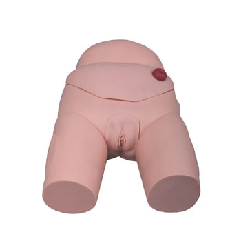  高級(jí)女性導(dǎo)尿模型 KAR/D4