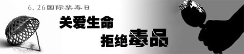 2008年國際禁毒日的主題是:依法禁毒、構(gòu)造和諧 width=